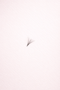 Premade 10D Lash Fans