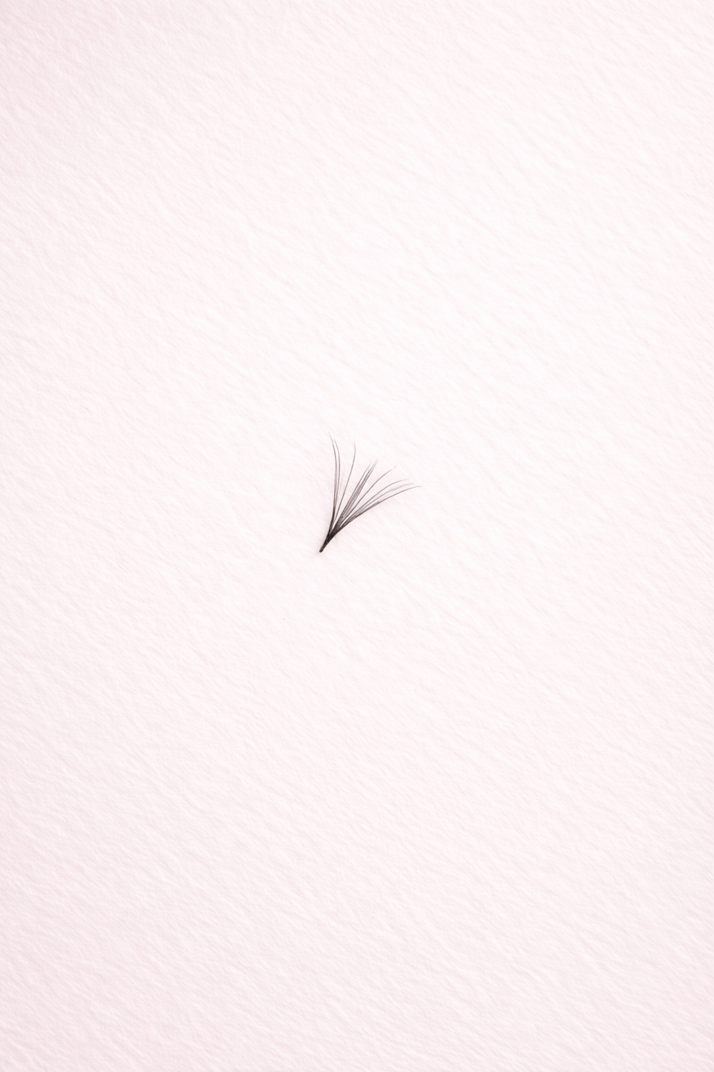 Premade 10D Lash Fans