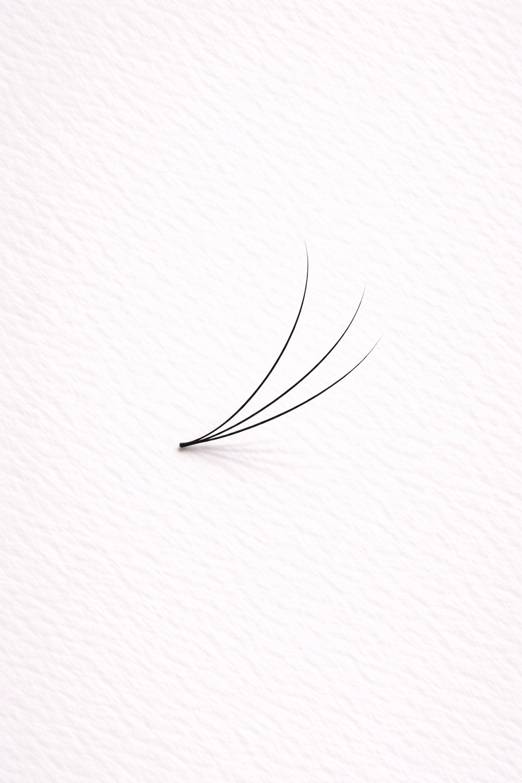 Premade 3D Lash fans