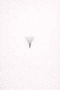 Premade 6D Lash Fans
