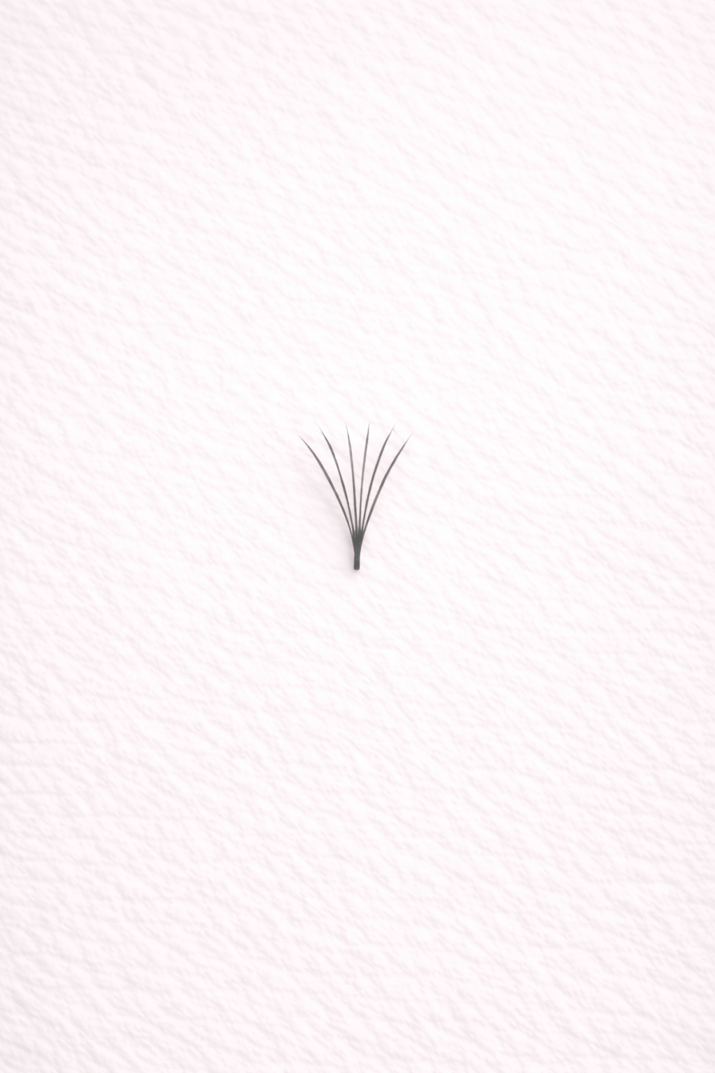 Premade 6D Lash Fans