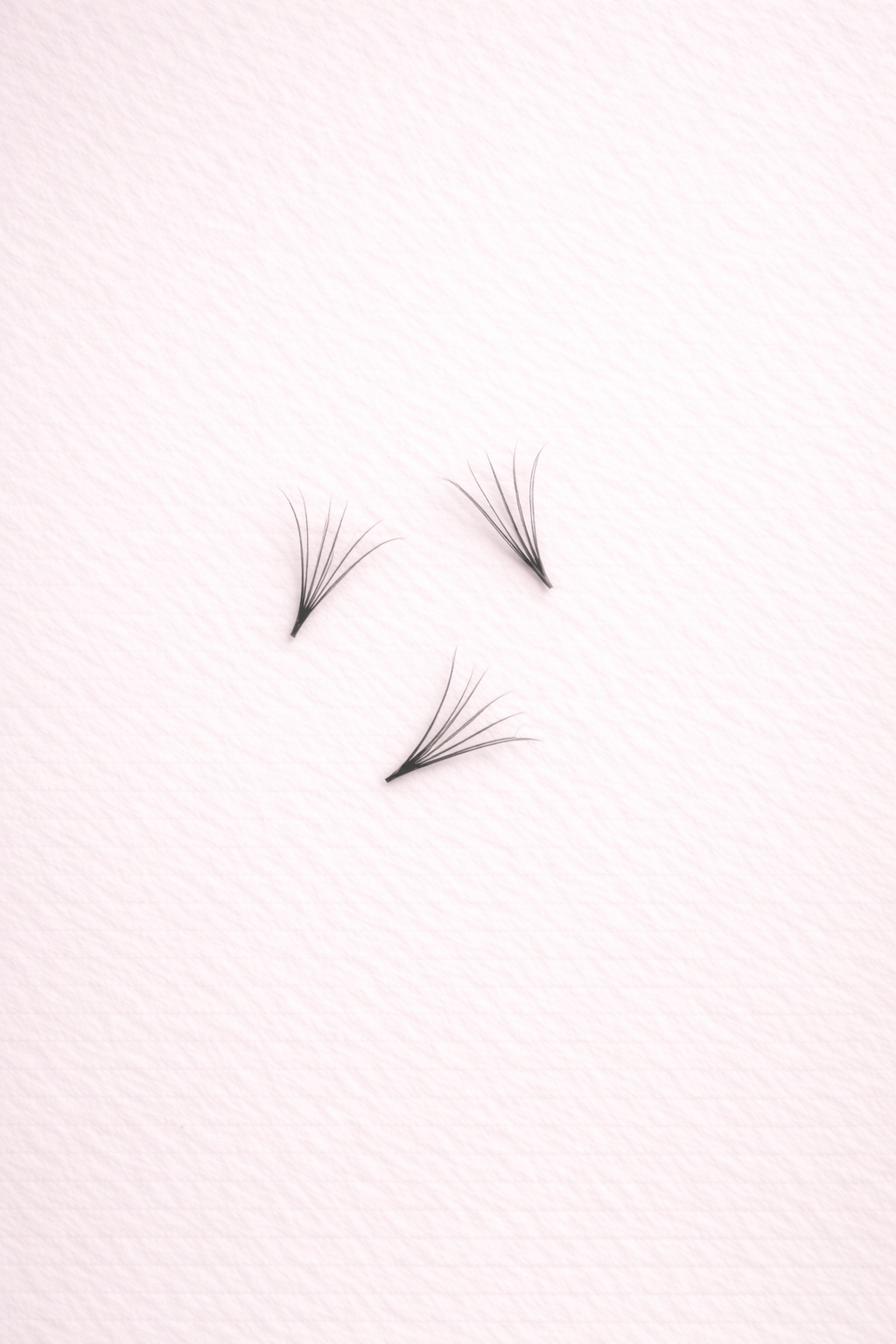 Premade 6D Lash Fans